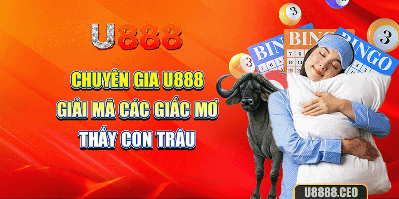 Chuyên gia U888 giải mã các giấc mơ thấy con trâu