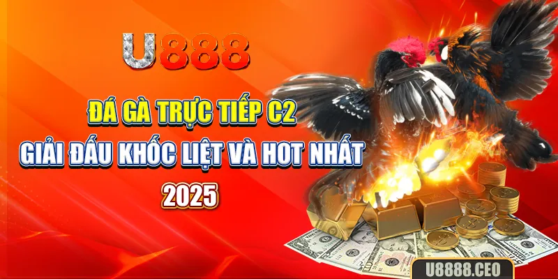 Đá Gà Trực Tiếp C2 – Giải Đấu Khốc Liệt Và Hot Nhất 2025