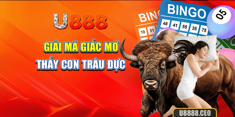 Giải mã giấc mơ thấy con trâu đực