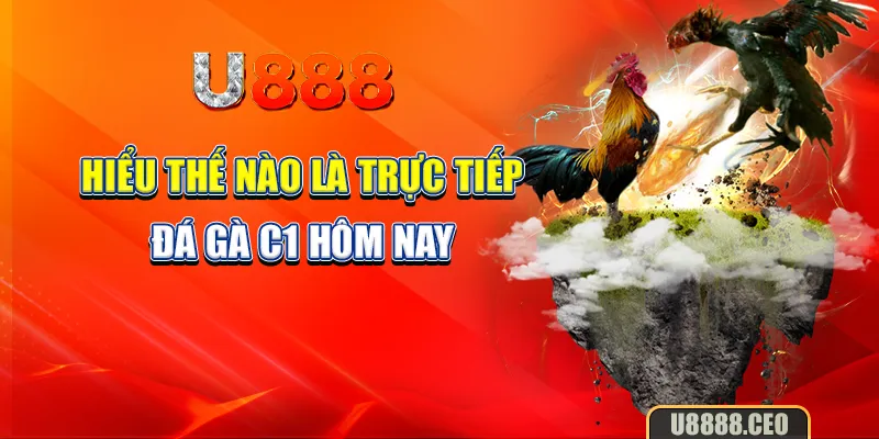 Hiểu thế nào là trực tiếp đá gà C1 hôm nay