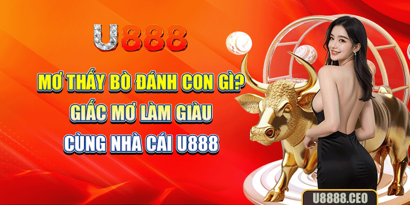 Mơ Thấy Bò Đánh Con Gì? - Giấc Mơ Làm Giàu Cùng Nhà Cái U888