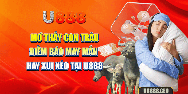 Mơ Thấy Con Trâu - Điềm Báo May Mắn Hay Xui Xẻo Tại U888