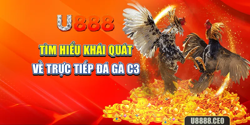 Tìm hiểu khái quát về trực tiếp đá gà C3