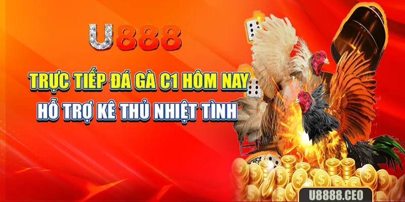 Trực tiếp đá gà C1 hôm nay hỗ trợ kê thủ nhiệt tình 